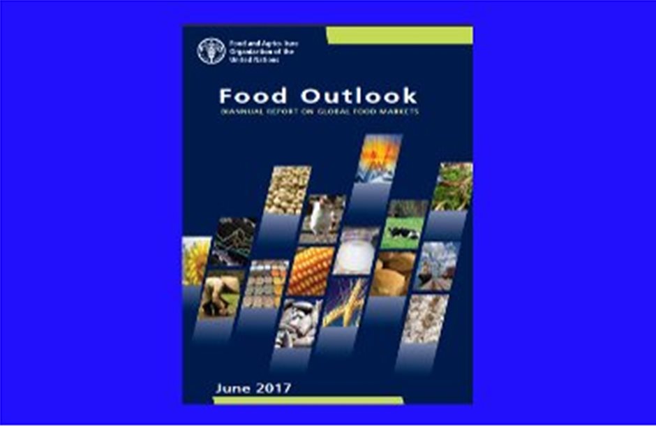 FAO: Συν κατά 1,3 τρις δολ. οι διεθνείς εισαγωγές τροφίμων